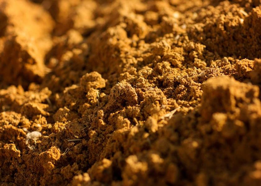 How Does the Cost of Feeding Distillers Grains Compare to Corn? Drovers